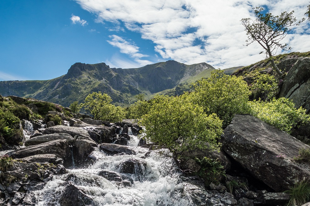 Snowdonia and North Wales - Drinks Package